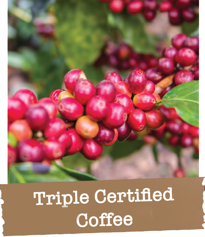 triple cert coffee