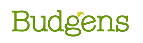 budgens_logo (002)
