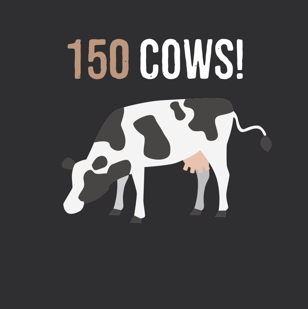 cows